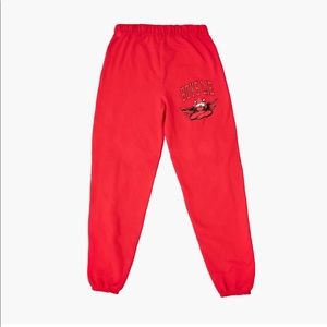 FOUND!! looking for dream team boys lie sweatpants
